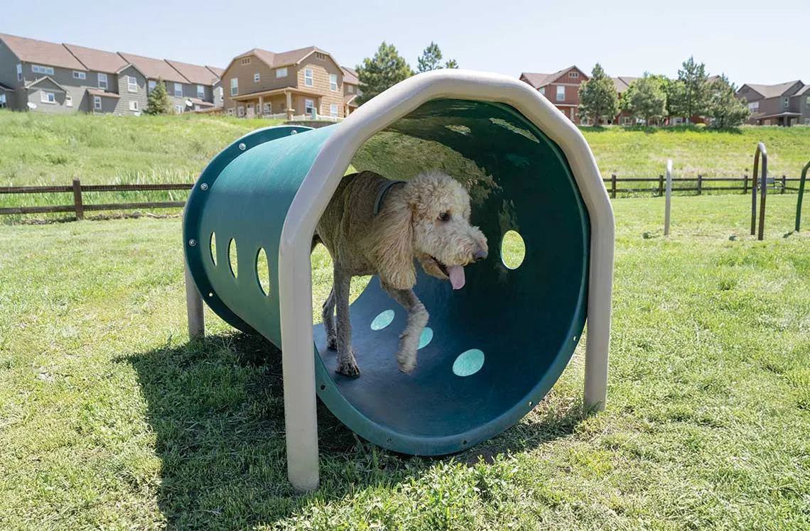 wiggly field dog park